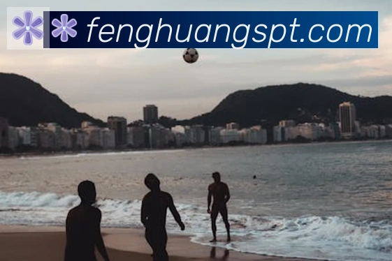 凤凰体育平台生态图