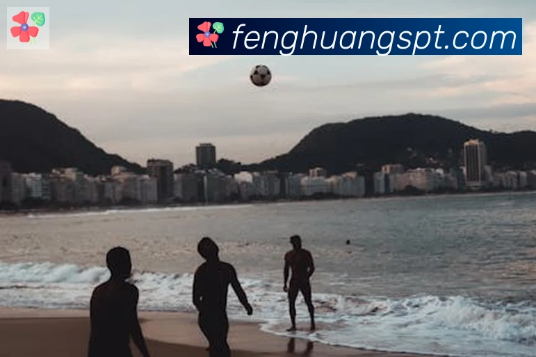 凤凰体育品牌故事