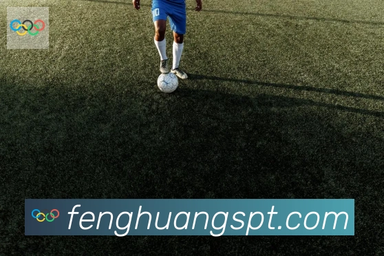 凤凰体育服务体系