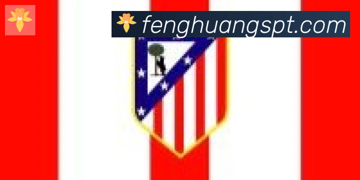 凤凰体育合作伙伴