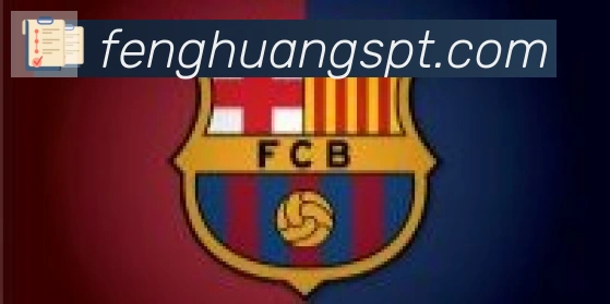 凤凰体育合作伙伴